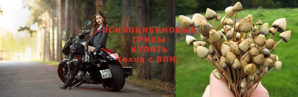 мефедрон мука Рославль
