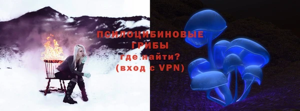 прущая мука Алзамай
