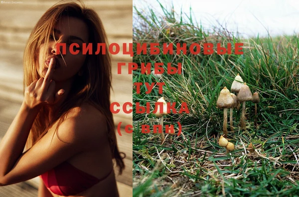 гашиш Алексеевка
